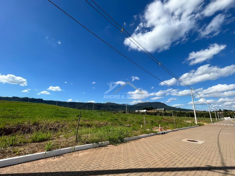 TERRENO TERRENO