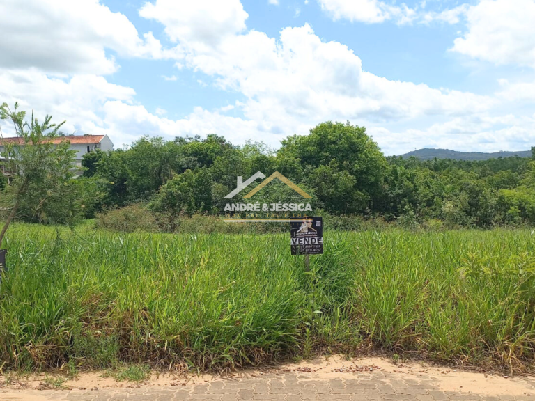 TERRENO TERRENO