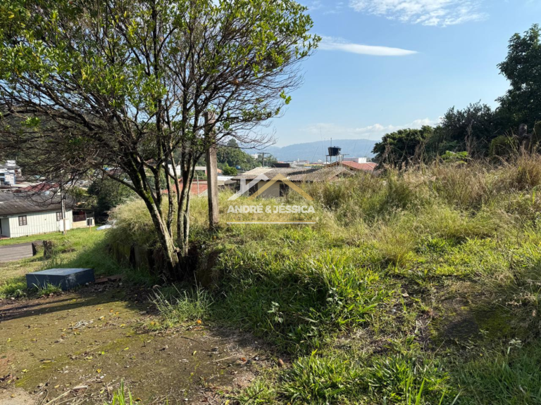 TERRENO TERRENO